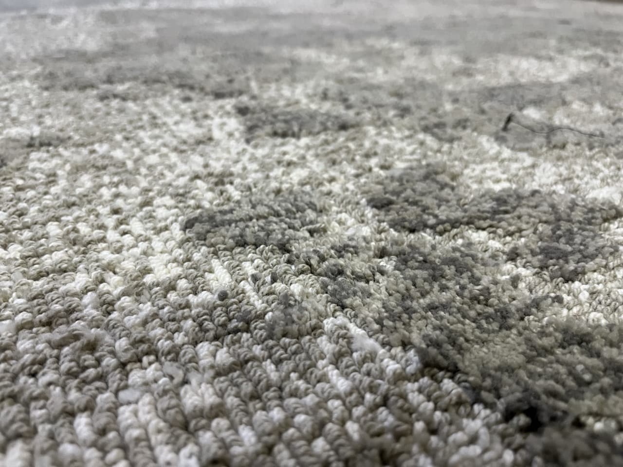 Picture of the carpet