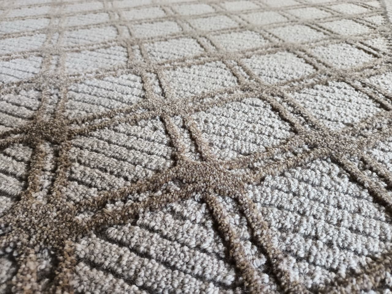 Picture of the carpet